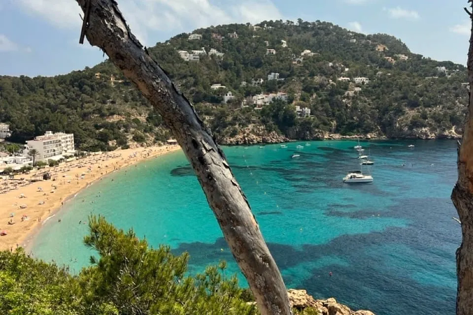 Regio Glutaea de Mundo*