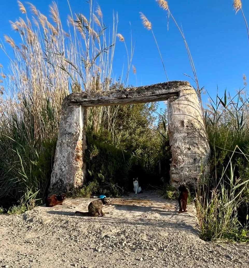 Preserve the Stories of Yesterday for Tomorrow